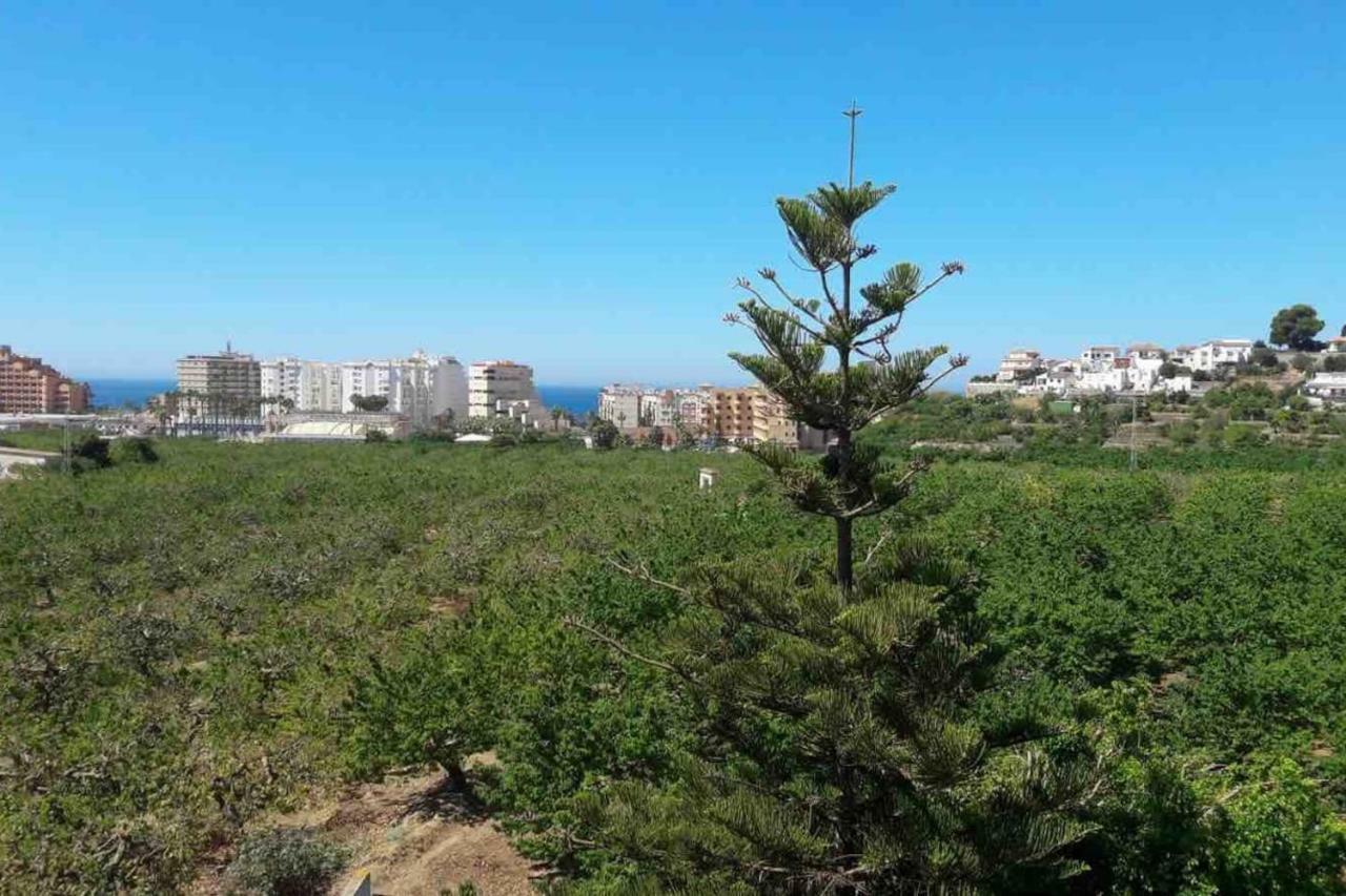 Apartamento Costa Del Sol Альмуньекар Экстерьер фото